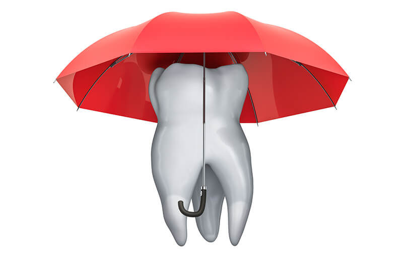 Dental Insurance Comparison Sites Human Resources Dental Plans To